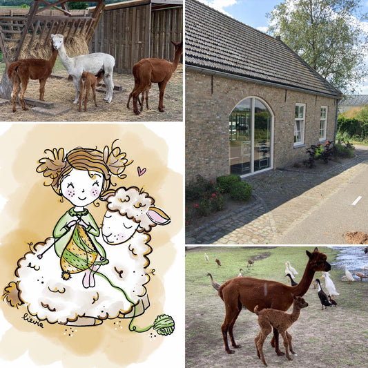 Knusse Handwerkdag 15 november 2025