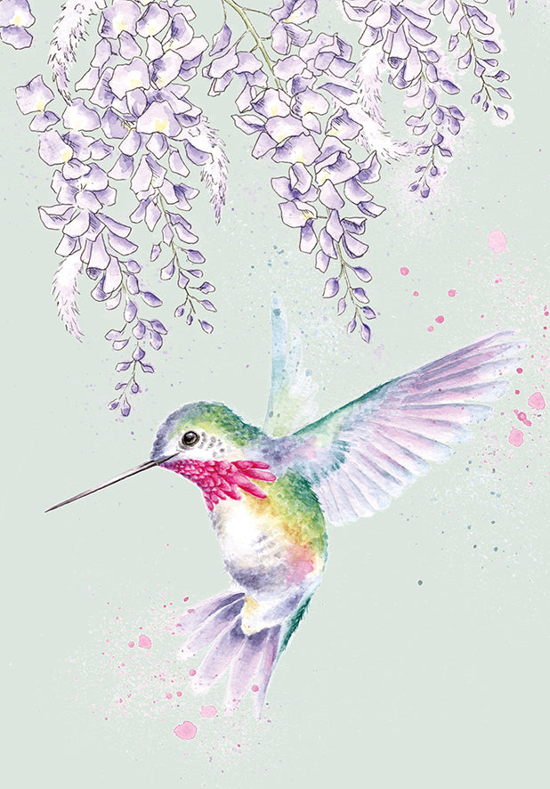 A6 notebook Humming Bird Wisteria Wishes - Wrendale