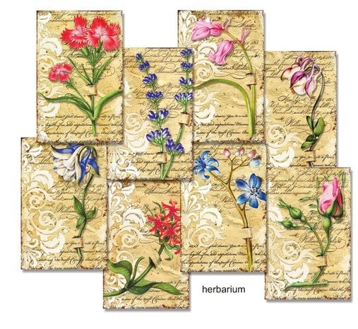 Mini Scrapbook papier Herbarium - Decorer