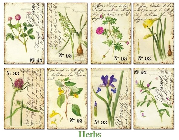 Mini Scrapbook papier Herbs - Decorer