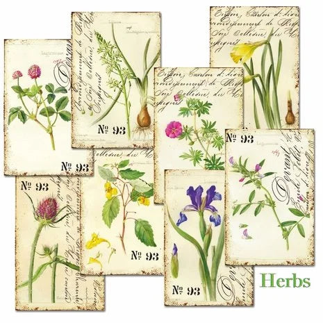 Mini Scrapbook papier Herbs - Decorer