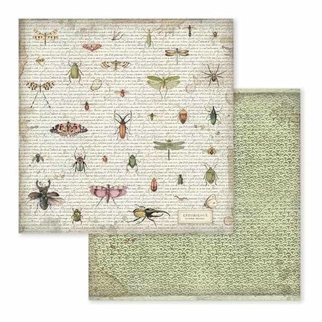 Scrapbook papier 30,5x30,5 cm Spring Botanic - Stamperia