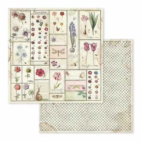 Scrapbook papier 30,5x30,5 cm Spring Botanic - Stamperia