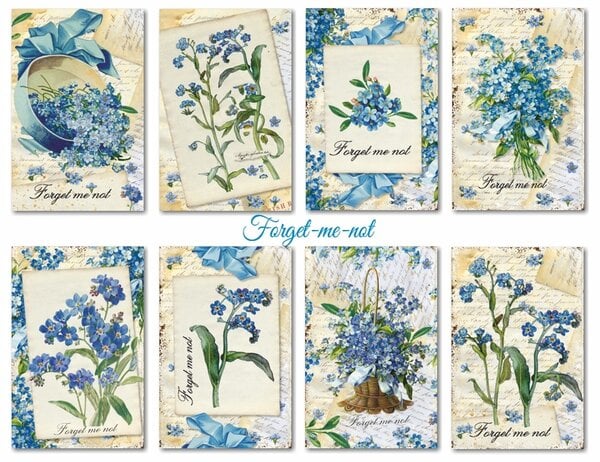 Mini Scrapbook papier Forget-me-not - Decorer