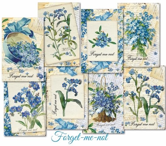 Mini Scrapbook papier Forget-me-not - Decorer