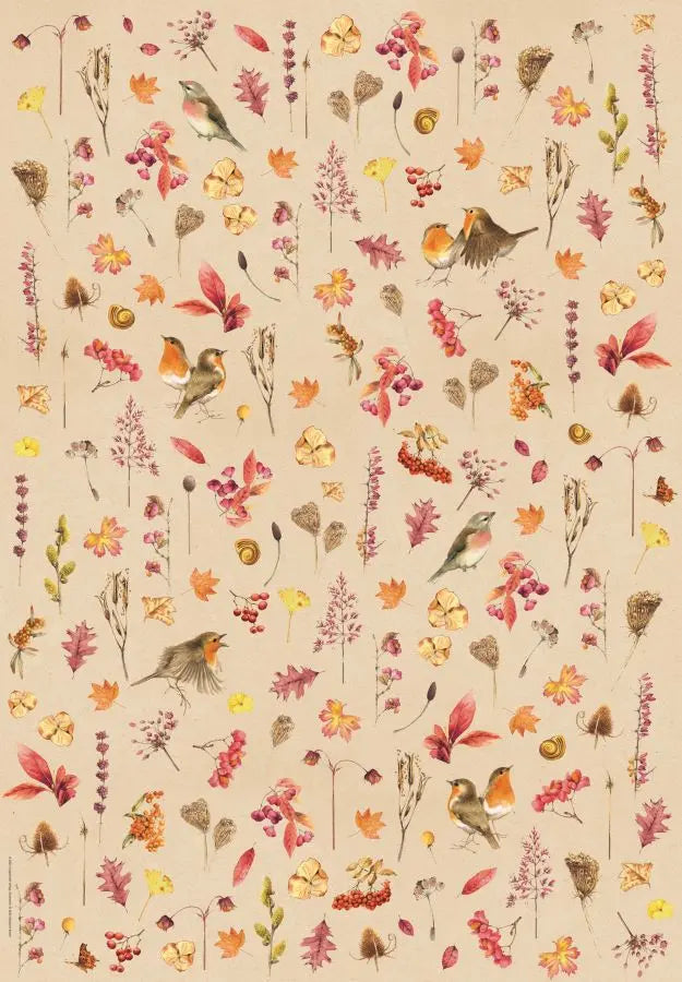 Cadeaupapier Marjolein Bastin Vogel - Coppenrath