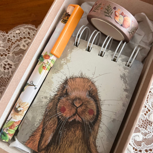 Cadeaupakketje Notes Misty