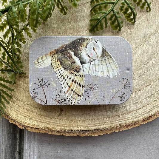 Mini blikje Owl - Alex Clark