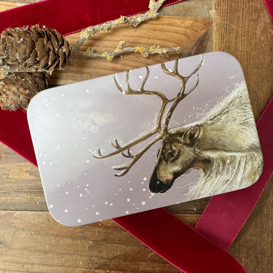 Cadeaublikje Christmas Reindeer - Alex Clark