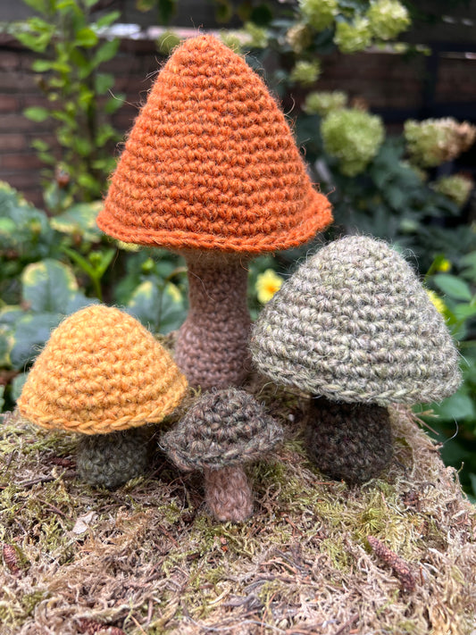 Pakket Familie Paddenstoel