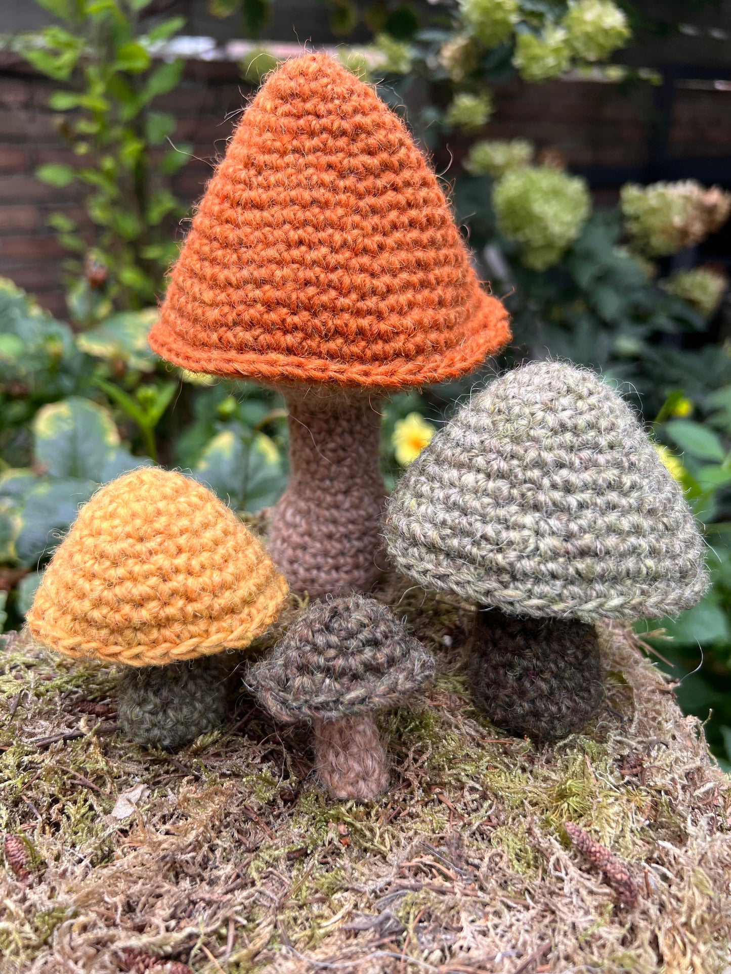 Patroon familie paddenstoel