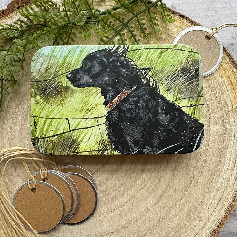 Cadeaublikje Windswept - Alex Clark