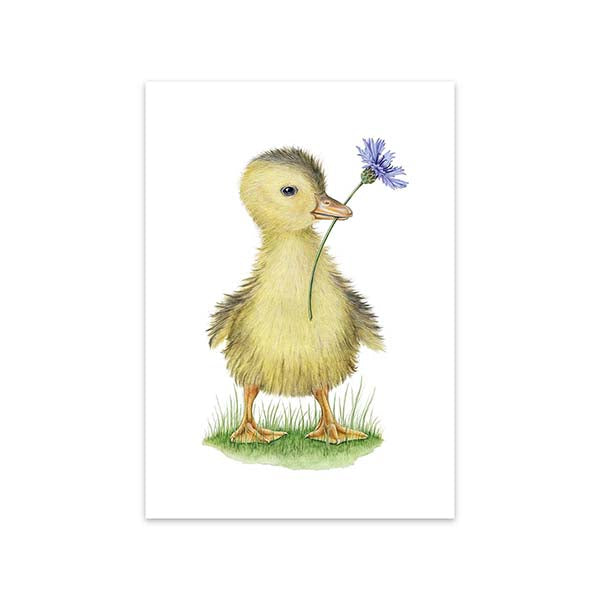 Kaart Lovely Duckling- MALUU