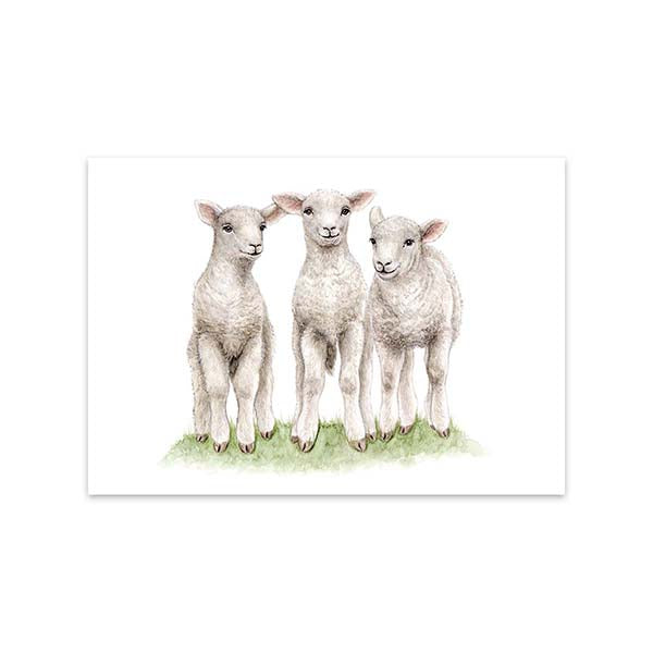 Kaart Little Lambs - MALUU