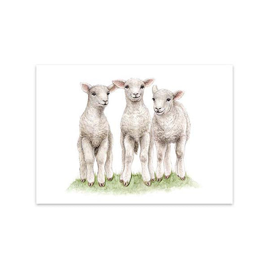 Kaart Little Lambs - MALUU