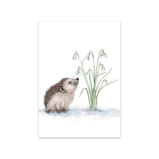 Kaart Snowdrop Hedgehog - MALUU