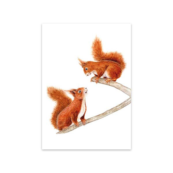 Kaart Squirrel Romance - MALUU