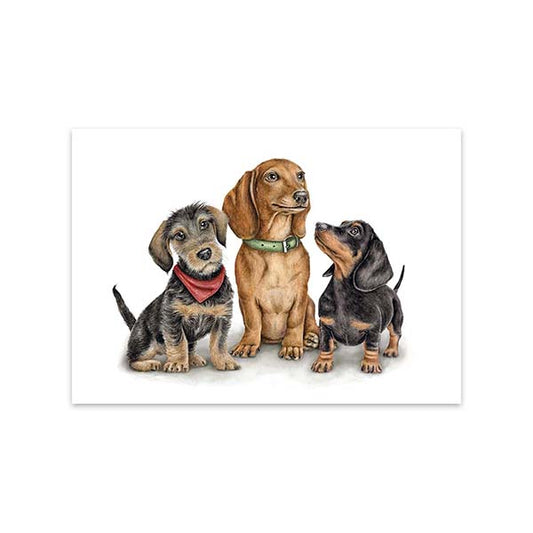 Kaart Doxie Gang - MALUU