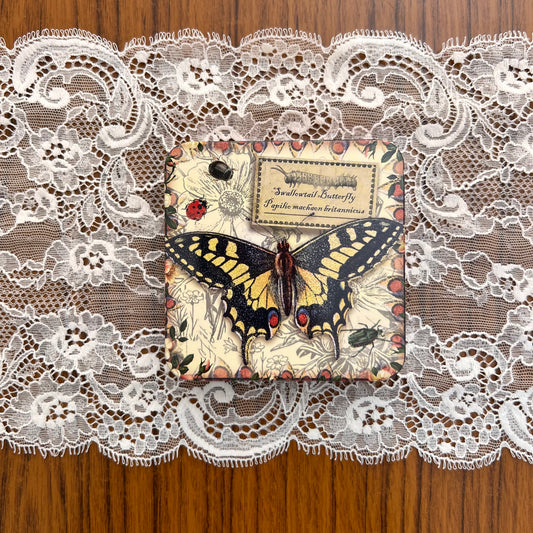 Cadeaublikje Vintage Vlinders Swallowtail