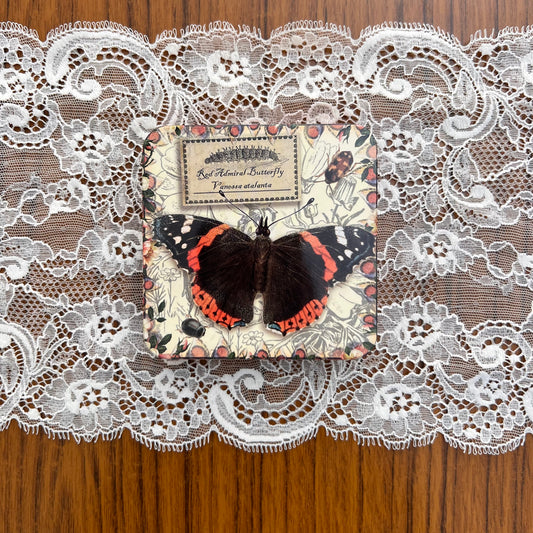 Cadeaublikje Vintage Vlinders Red Admiral