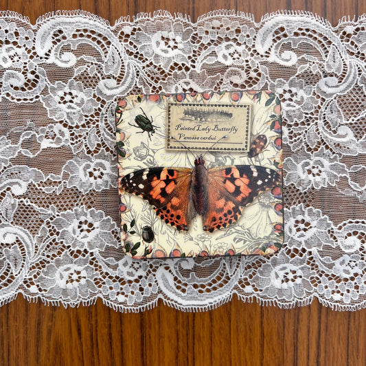 Cadeaublikje Vintage Vlinders Painted Lady