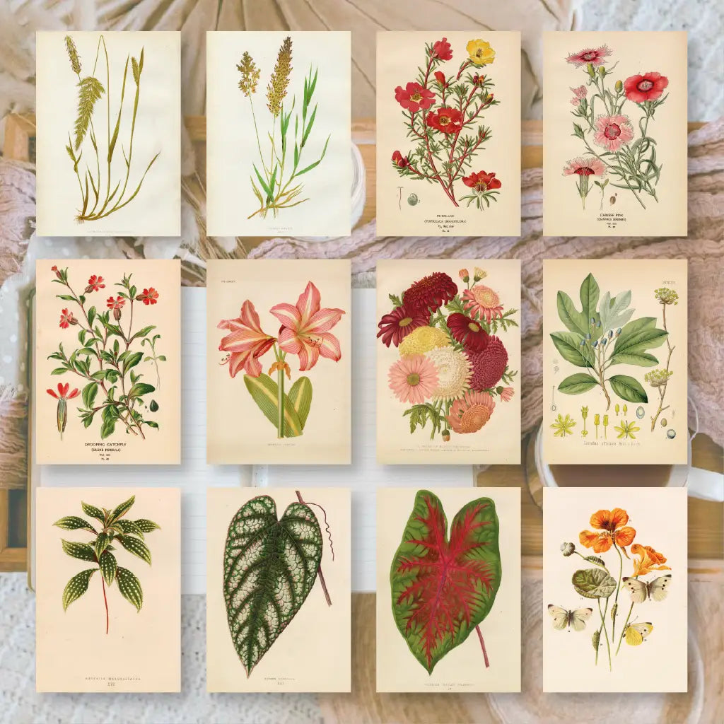Ephemera papier Botanicals 1 - Plan & Plot Studio