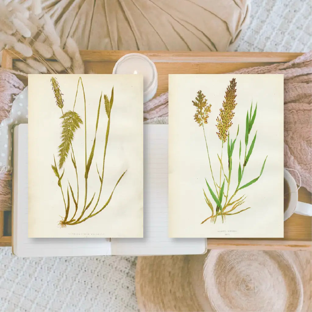 Ephemera papier Botanicals 1 - Plan & Plot Studio