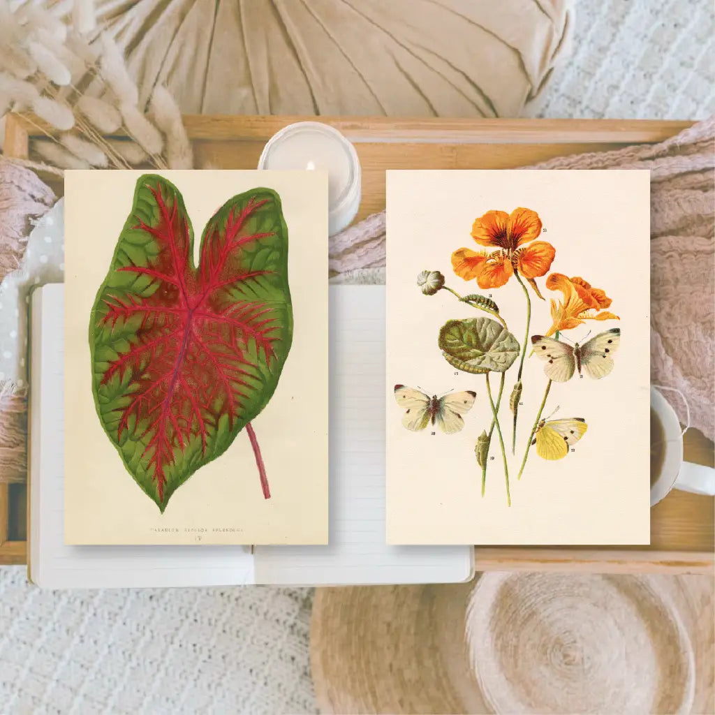 Ephemera papier Botanicals 1 - Plan & Plot Studio