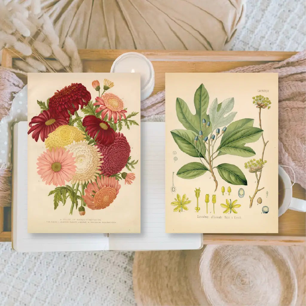 Ephemera papier Botanicals 1 - Plan & Plot Studio