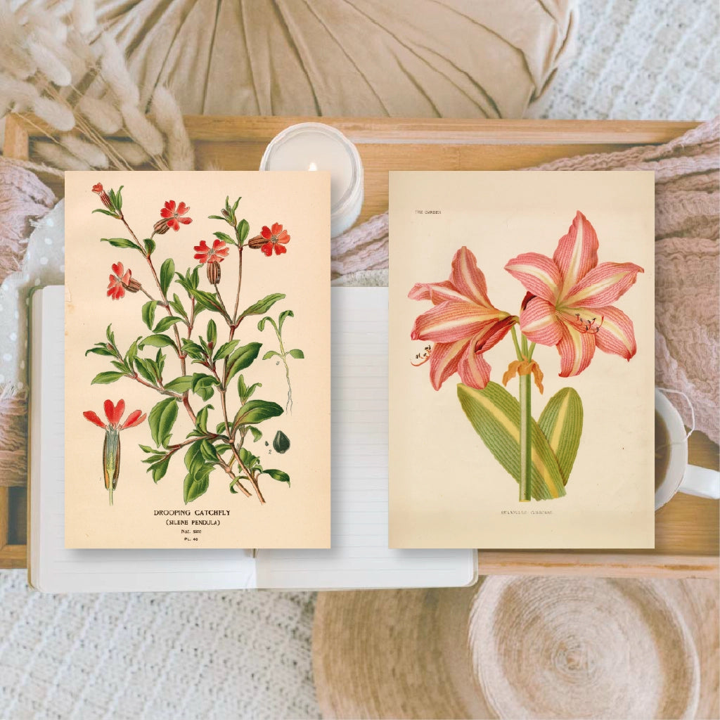Ephemera papier Botanicals 1 - Plan & Plot Studio