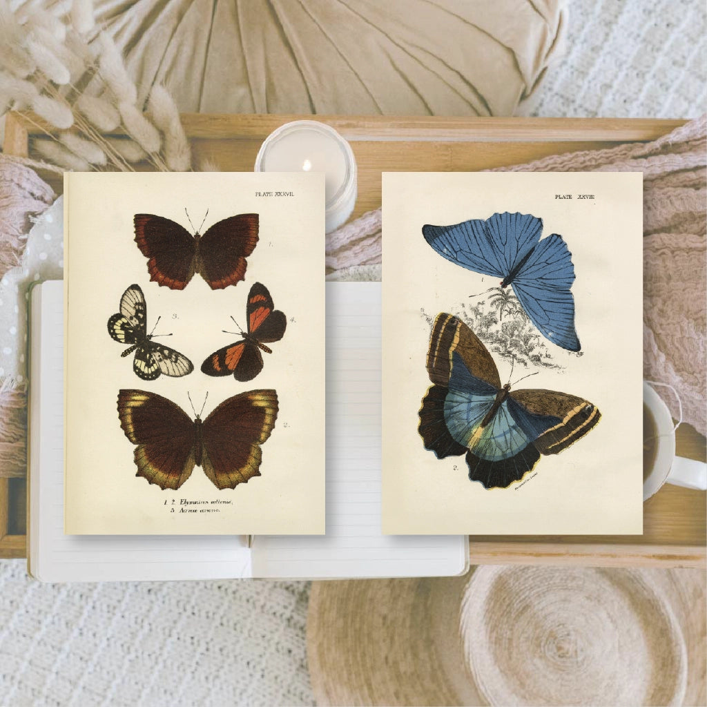 Ephemera papier Butterflies - Plan & Plot Studio