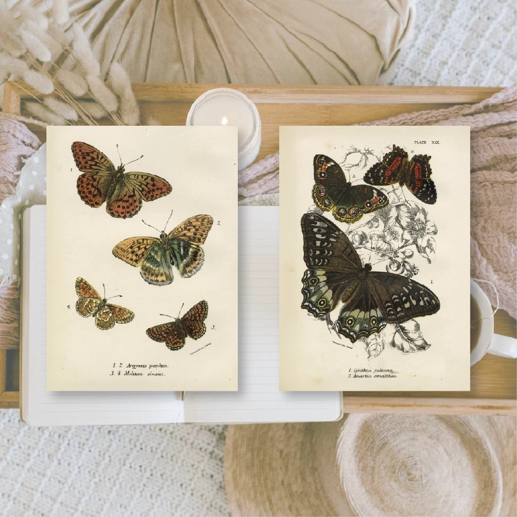 Ephemera papier Butterflies - Plan & Plot Studio