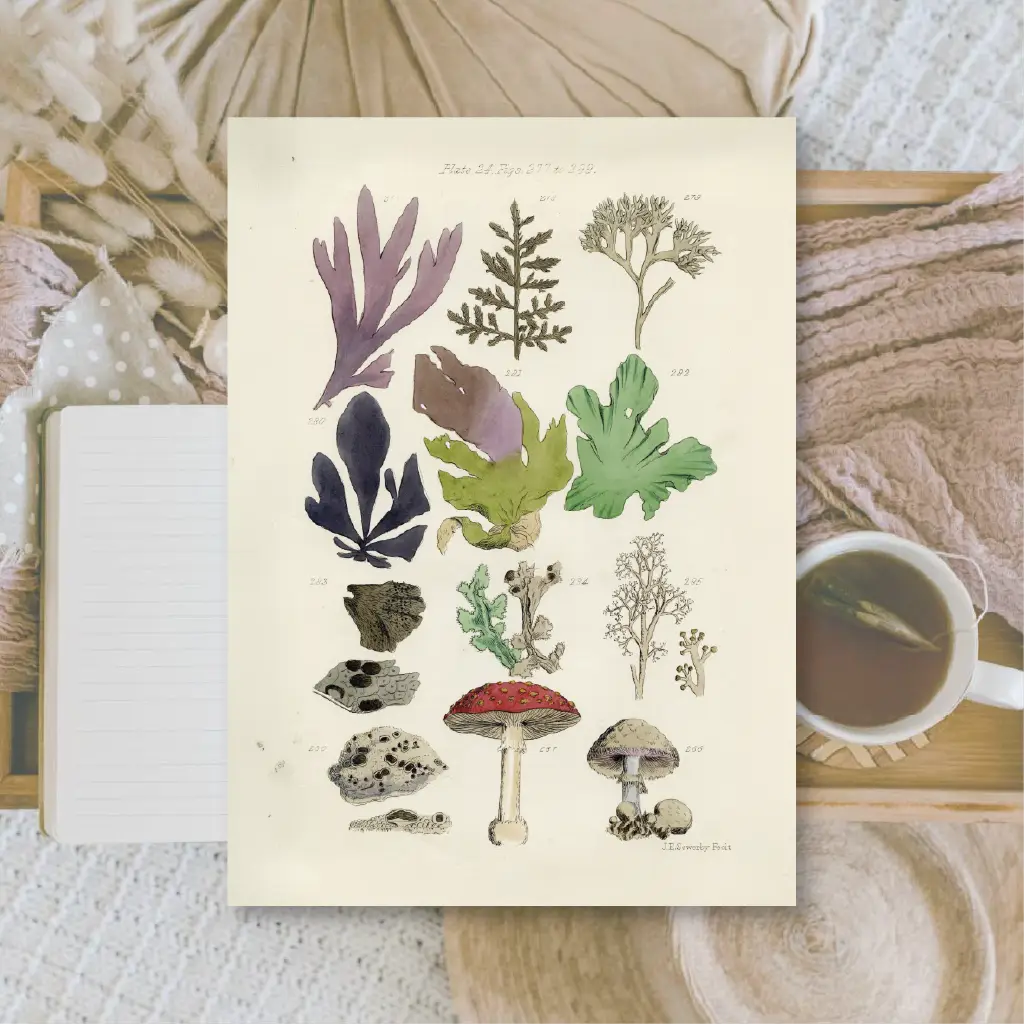 Ephemera papier Botanicals II - Plan & Plot Studio