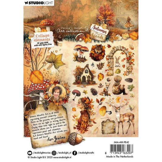 Autumn In The Woods Paper collage elements - Studio Light