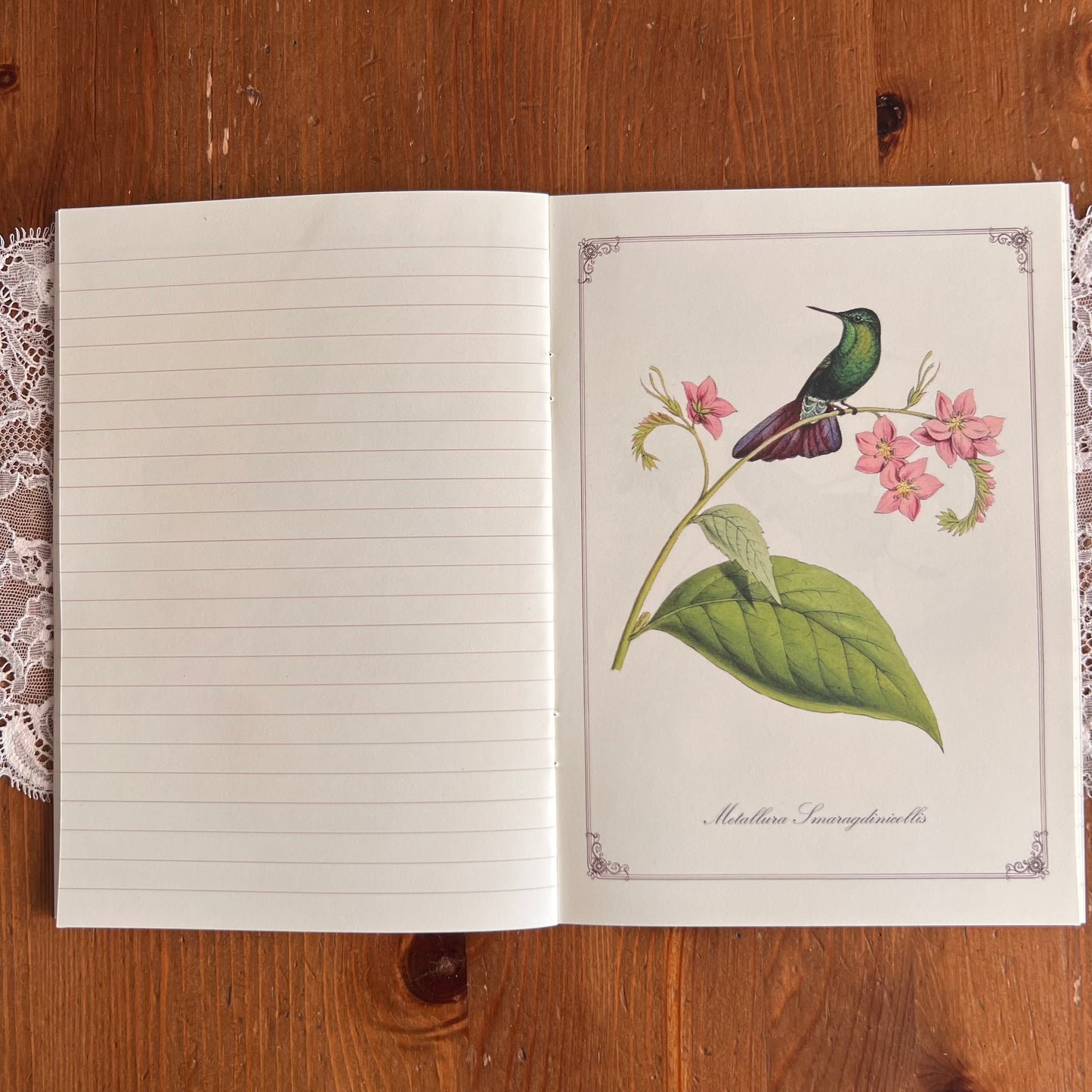 Notitieboekje Colibris - Gwenaëlle Trolez Créations