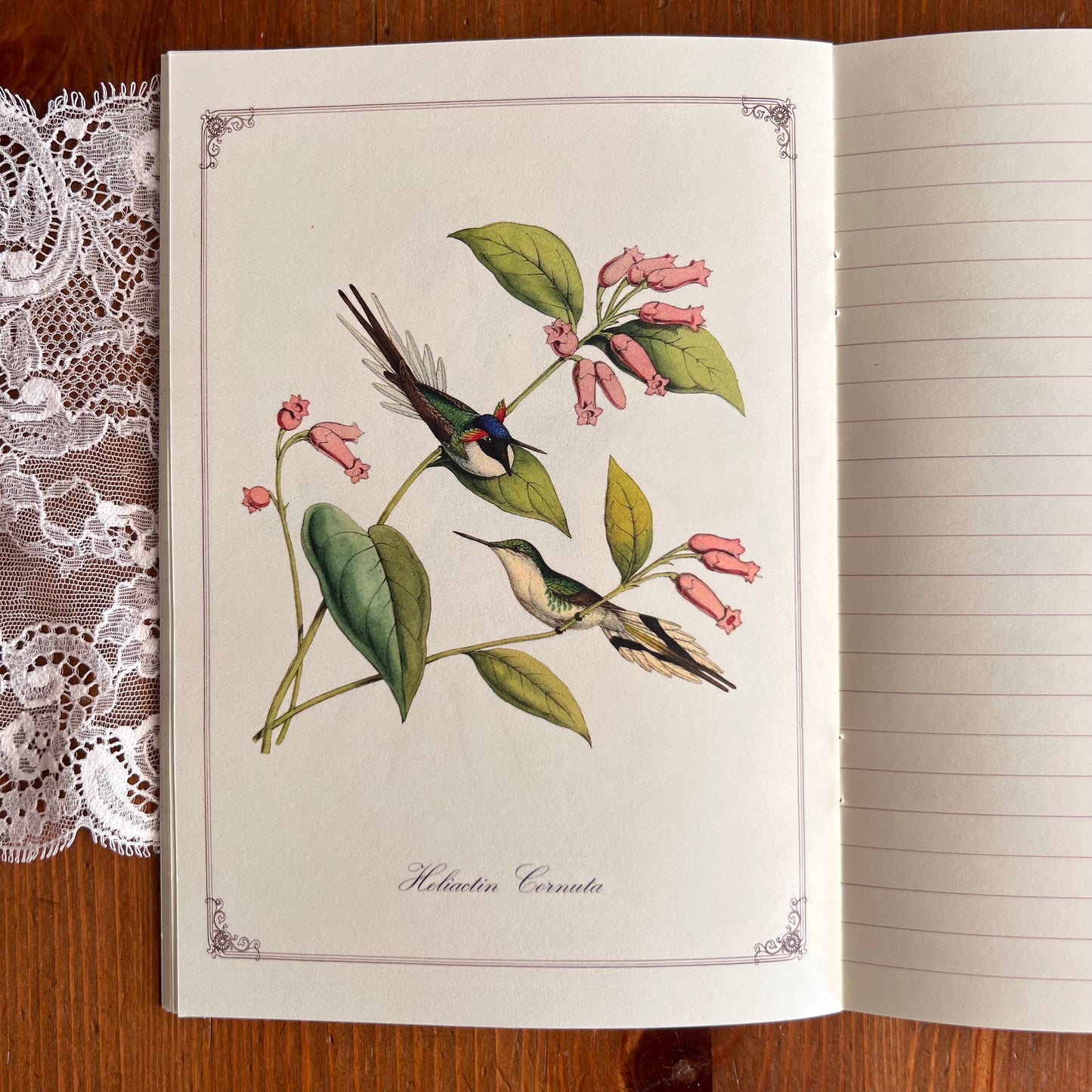 Notitieboekje Colibris - Gwenaëlle Trolez Créations