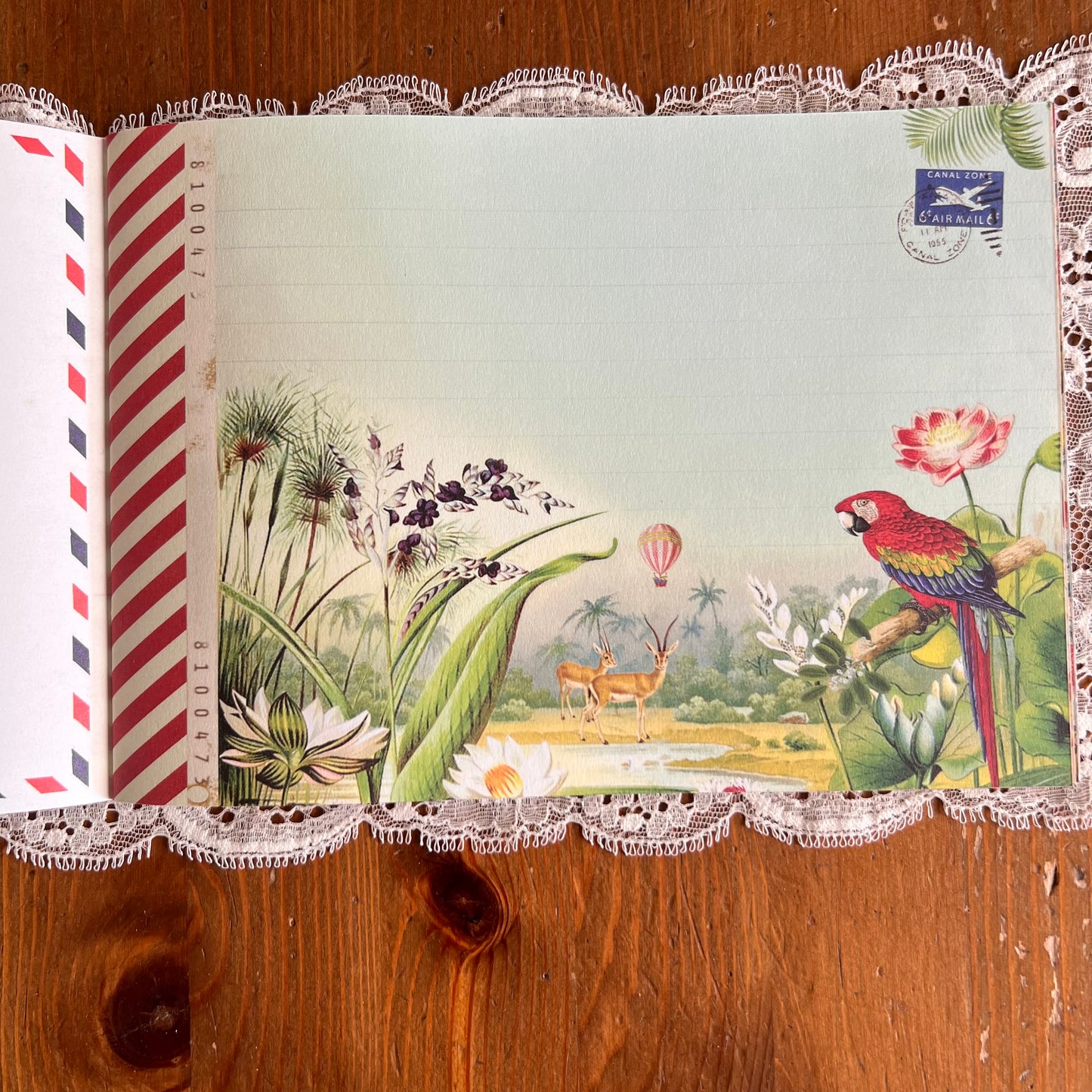 Geïllustreerd notitieboekje Perroquet - Gwenaëlle Trolez Créations