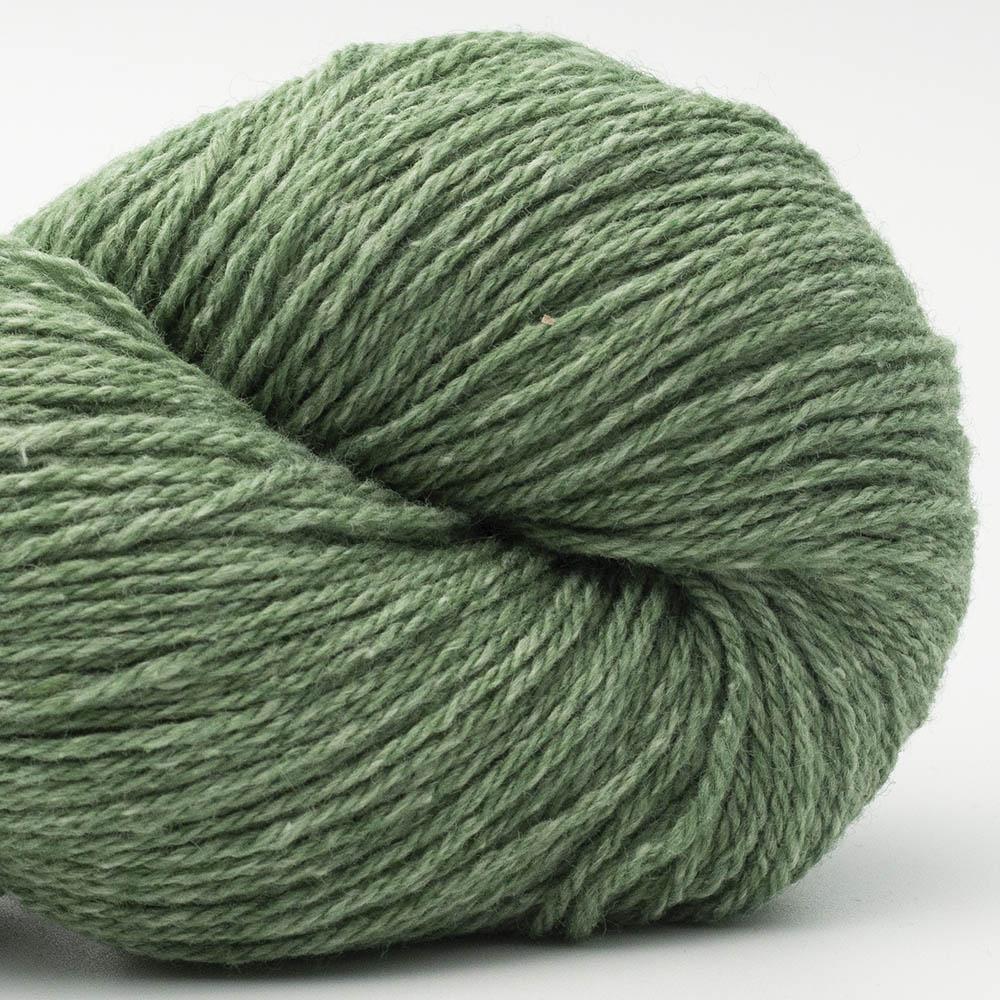 Bio Balance GOTS 03 Gras Green - BC Garn