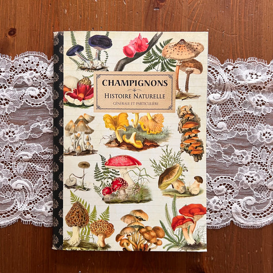 Geïllustreerd notitieboekje Champignons - Gwenaëlle Trolez Créations