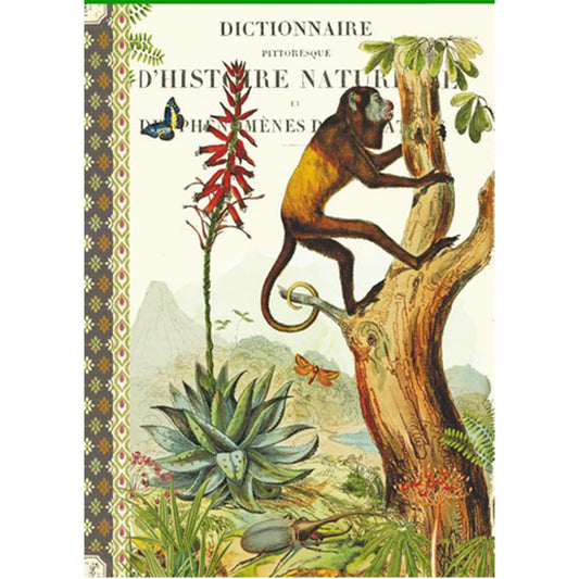 Geïllustreerd notitieboekje Histoire - Gwenaëlle Trolez Créations
