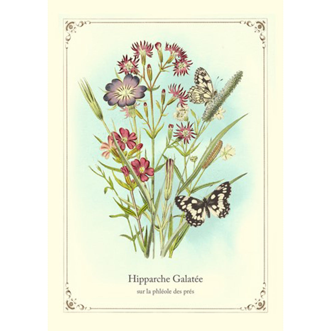 Geïllustreerd notitieboekje Papillons - Gwenaëlle Trolez Créations