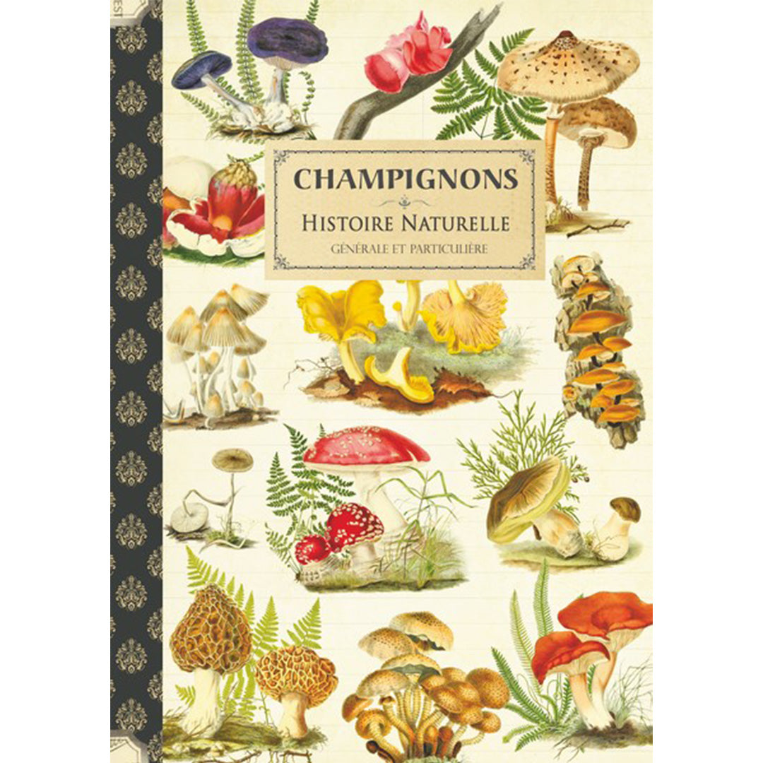 Geïllustreerd notitieboekje Champignons - Gwenaëlle Trolez Créations