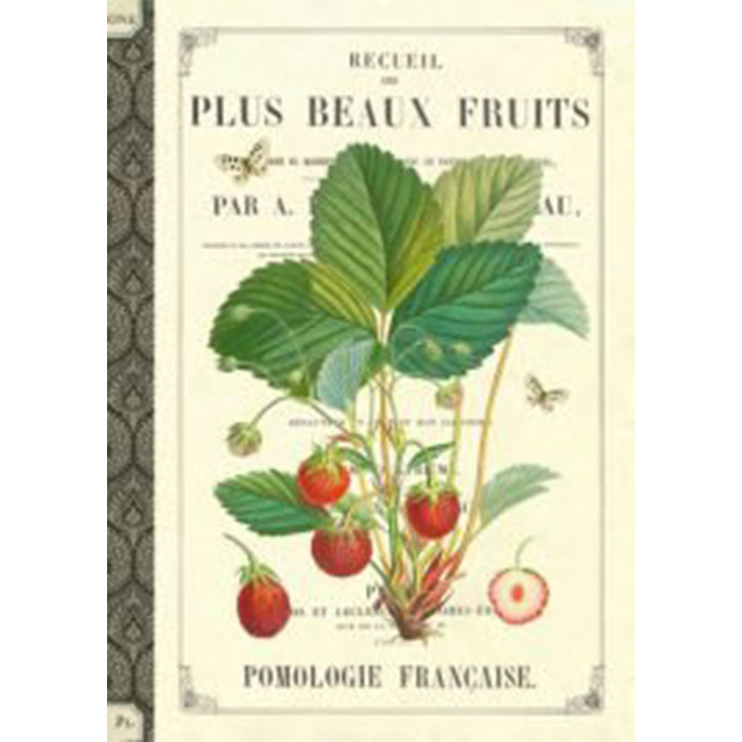 Geïllustreerd notitieboekje les Fruits - Gwenaëlle Trolez Créations