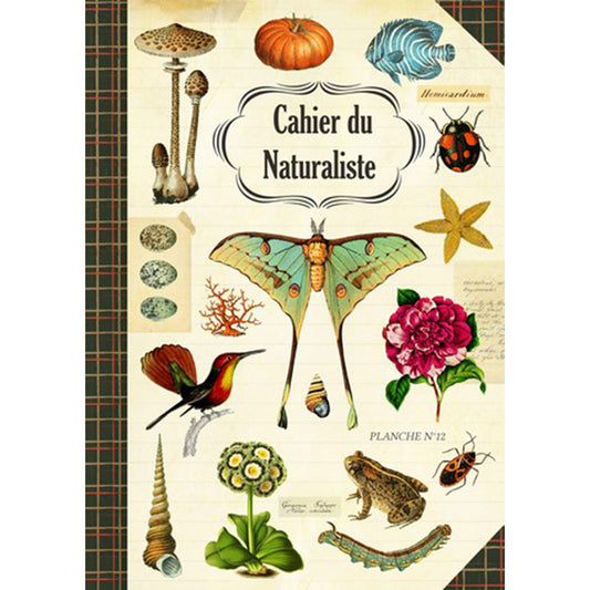 Geïllustreerd notitieboekje Naturaliste - Gwenaëlle Trolez Créations