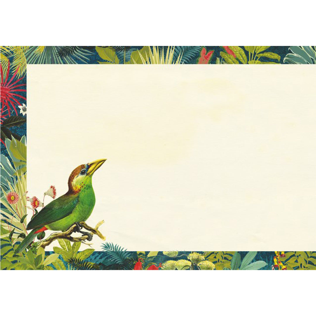 Geïllustreerd notitieboekje Les oiseaux - Gwenaëlle Trolez Créations